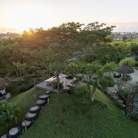 Green Land Bubble Glamping By Mint Cabarete Exterior photo