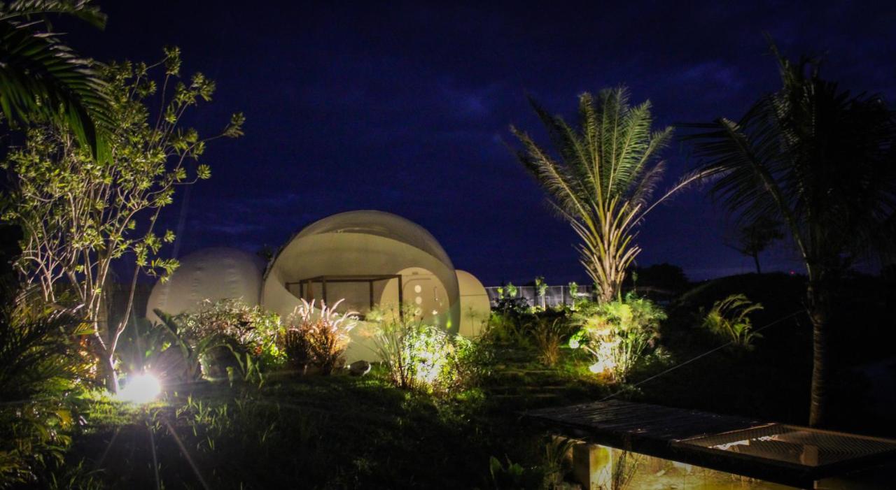 Green Land Bubble Glamping By Mint Cabarete Exterior photo