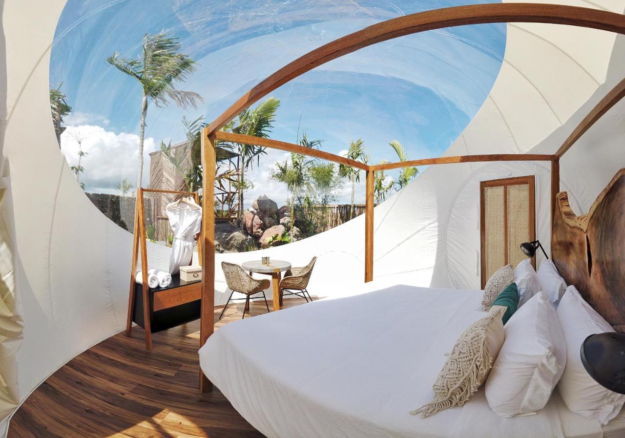 Green Land Bubble Glamping By Mint Cabarete Exterior photo