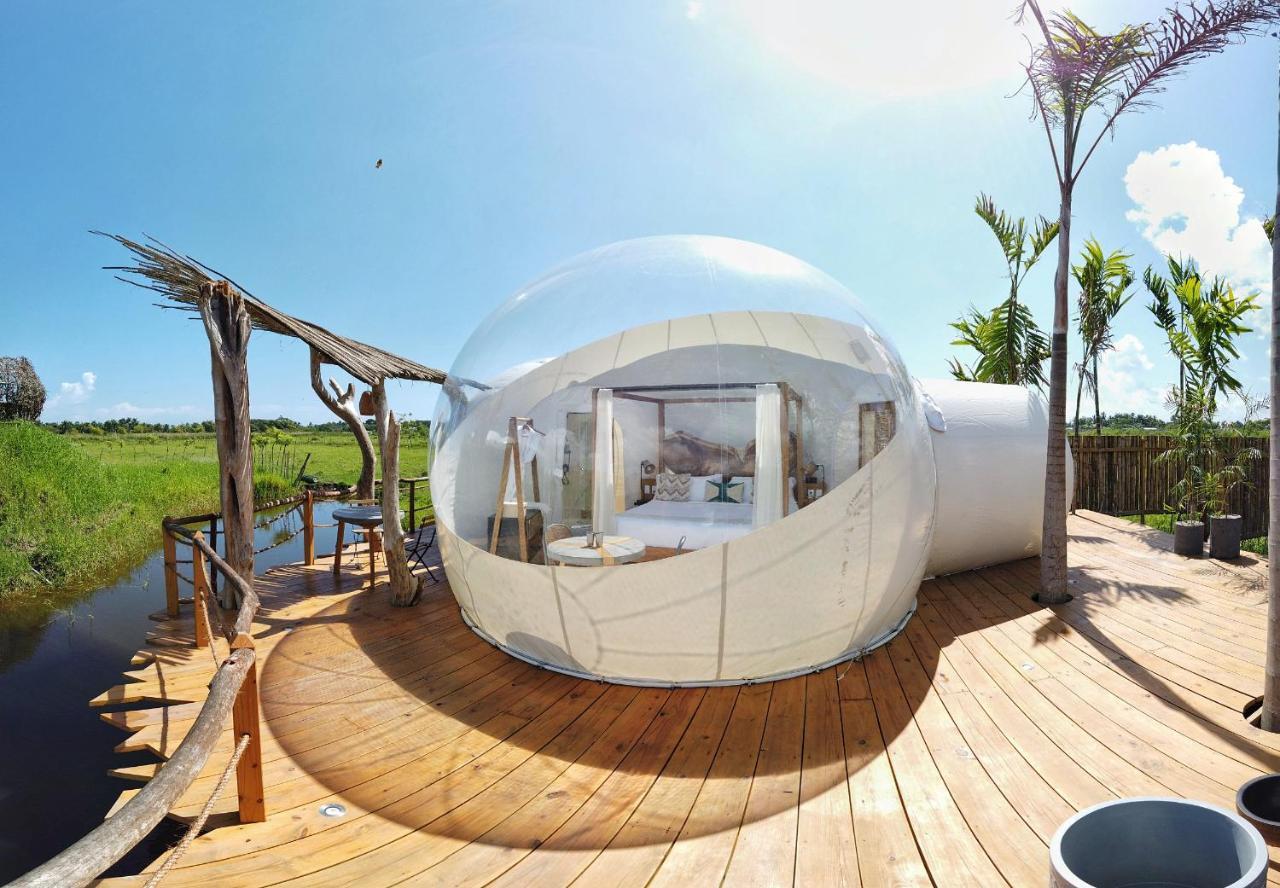 Green Land Bubble Glamping By Mint Cabarete Exterior photo