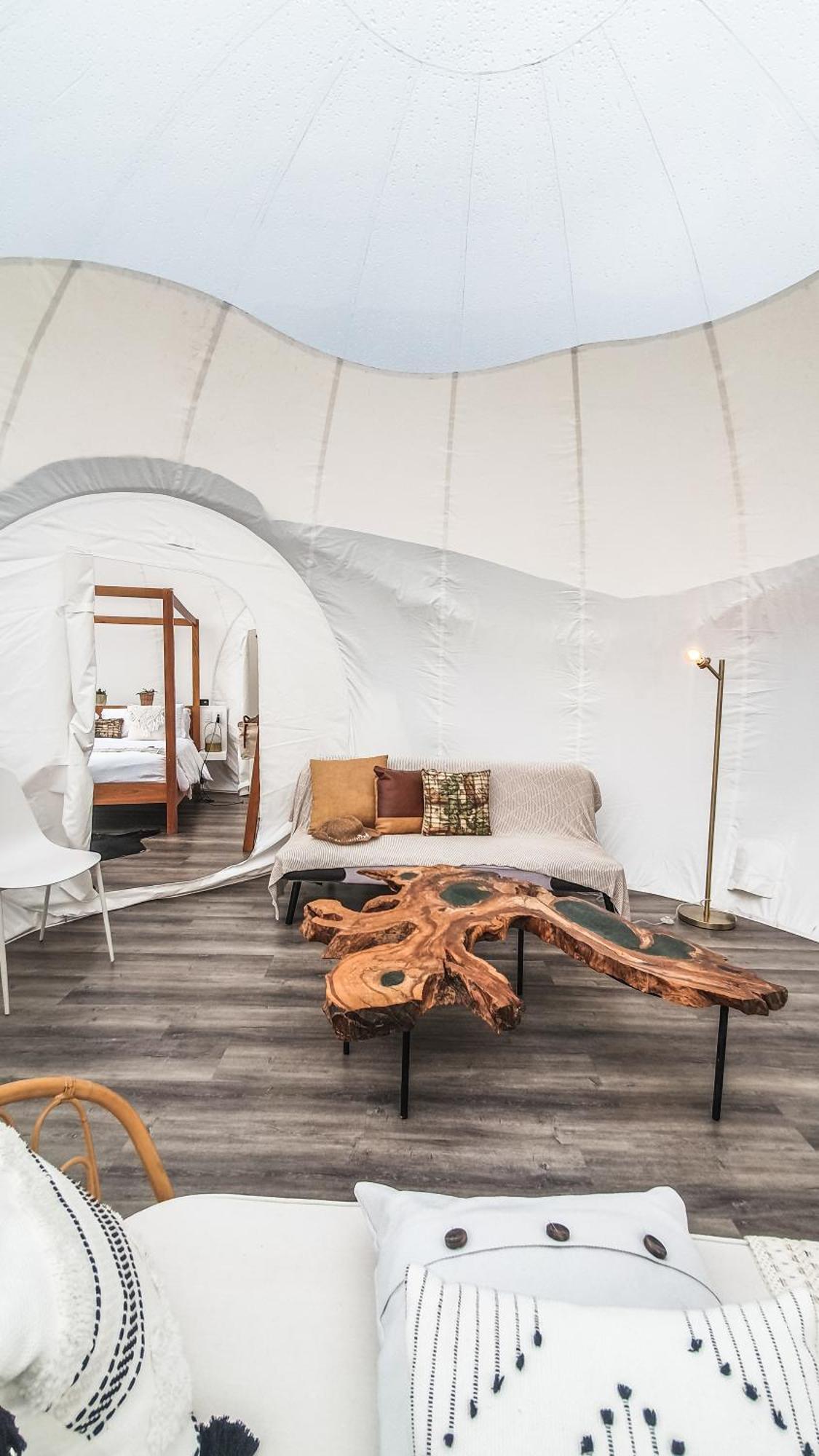 Green Land Bubble Glamping By Mint Cabarete Exterior photo