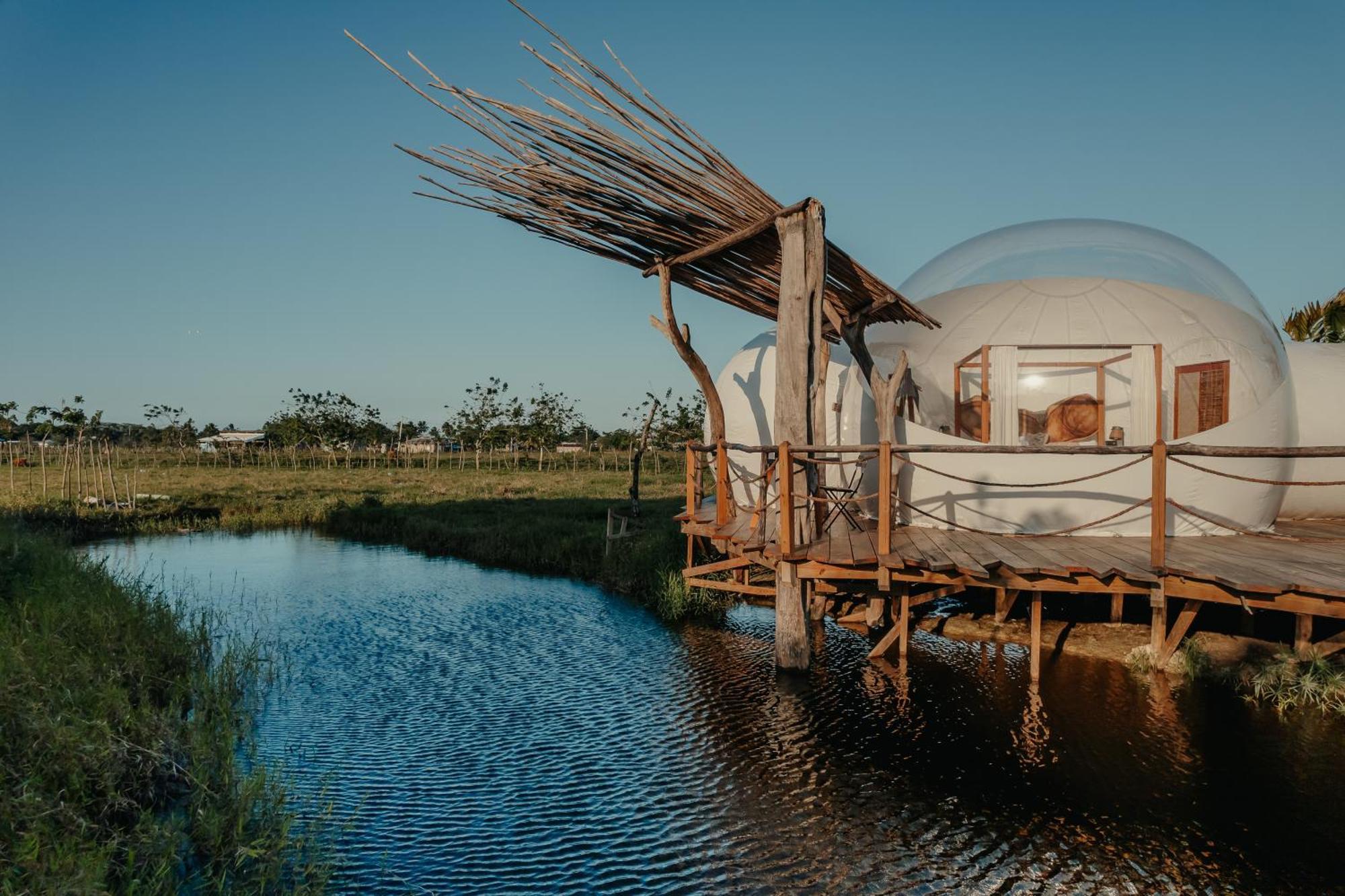 Green Land Bubble Glamping By Mint Cabarete Room photo