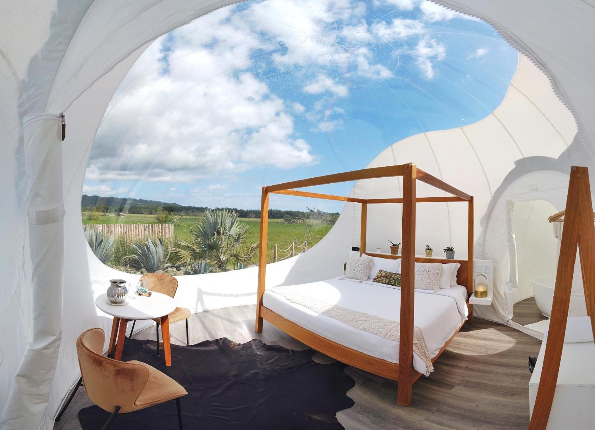 Green Land Bubble Glamping By Mint Cabarete Room photo