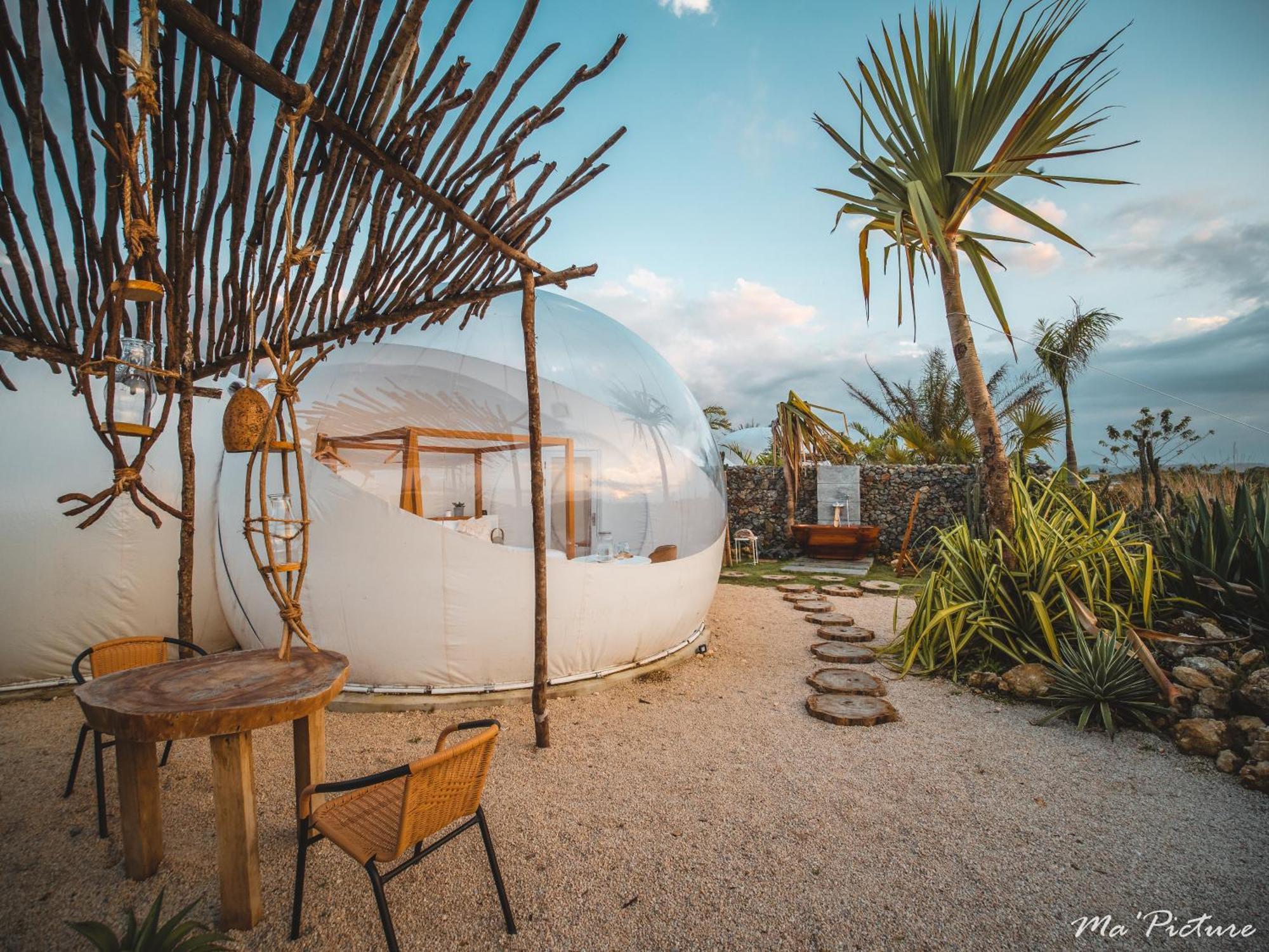 Green Land Bubble Glamping By Mint Cabarete Room photo