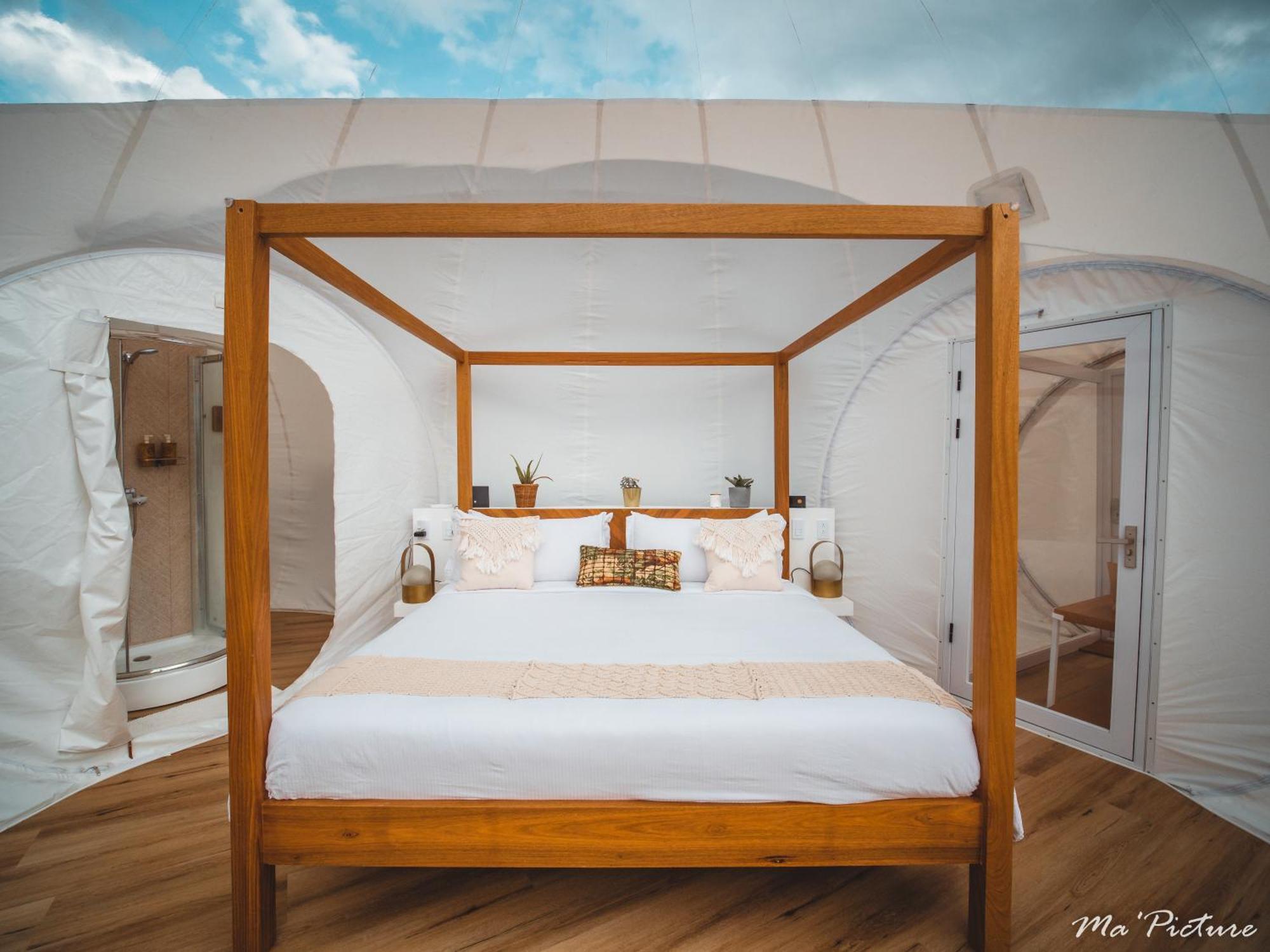 Green Land Bubble Glamping By Mint Cabarete Room photo