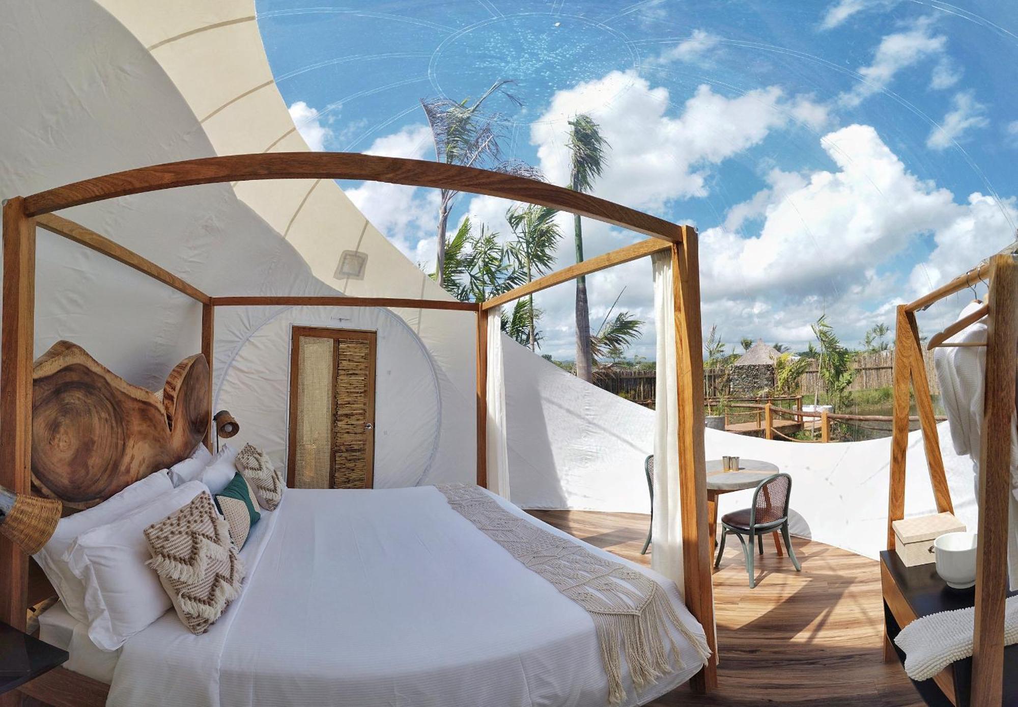 Green Land Bubble Glamping By Mint Cabarete Room photo