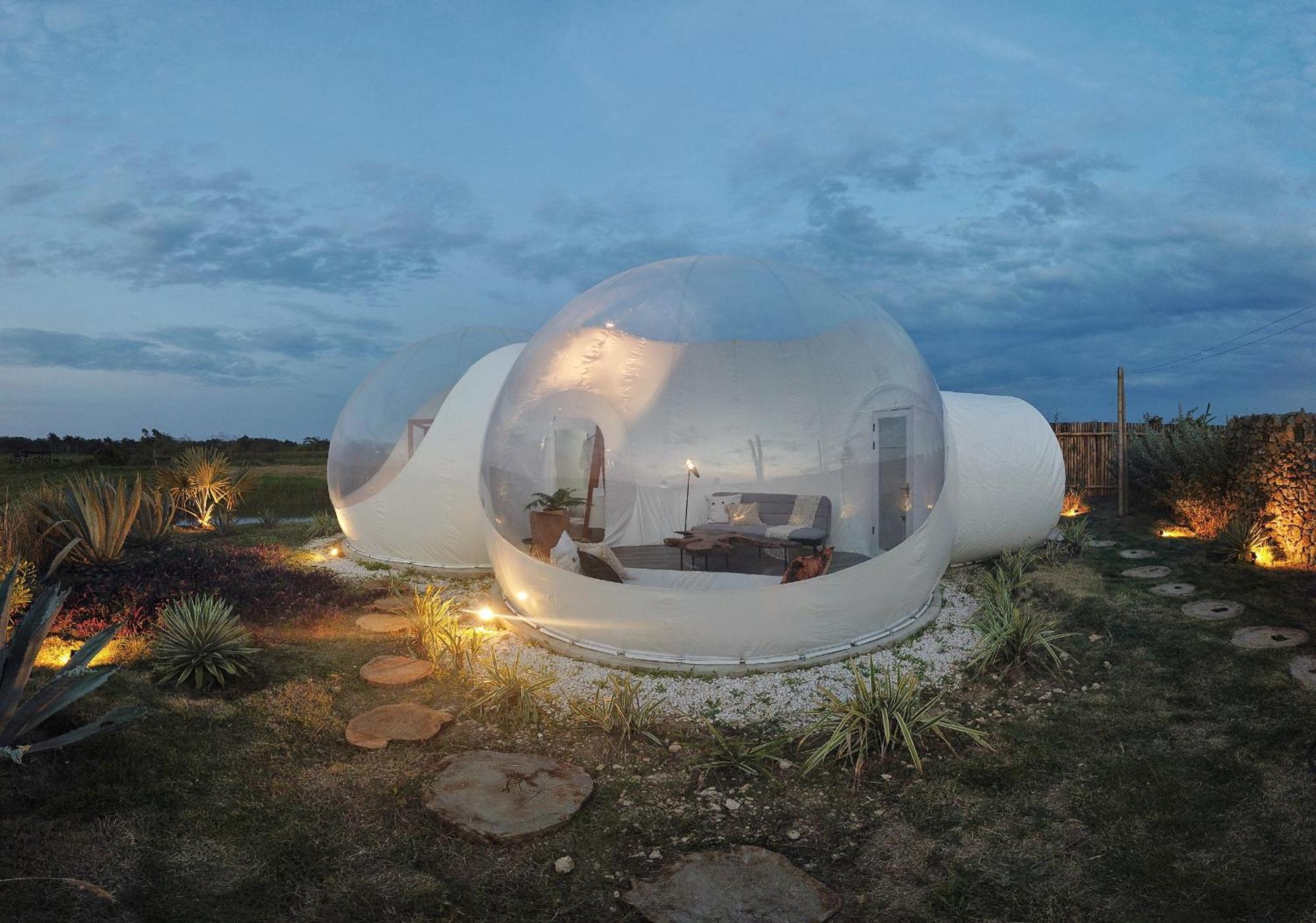 Green Land Bubble Glamping By Mint Cabarete Room photo