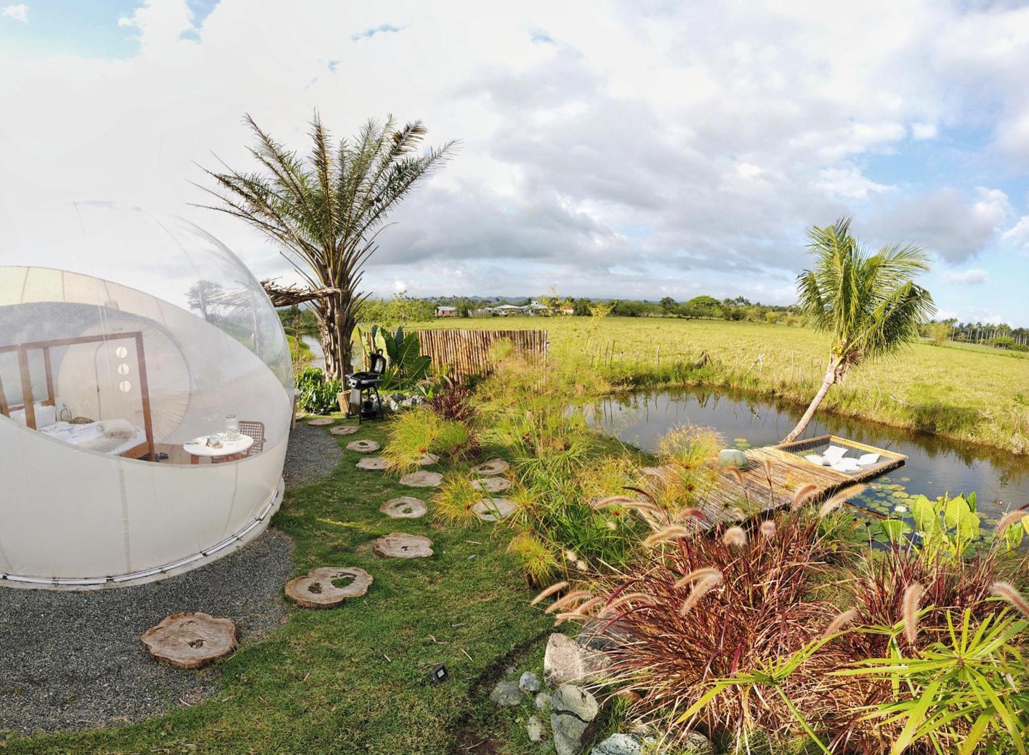 Green Land Bubble Glamping By Mint Cabarete Room photo