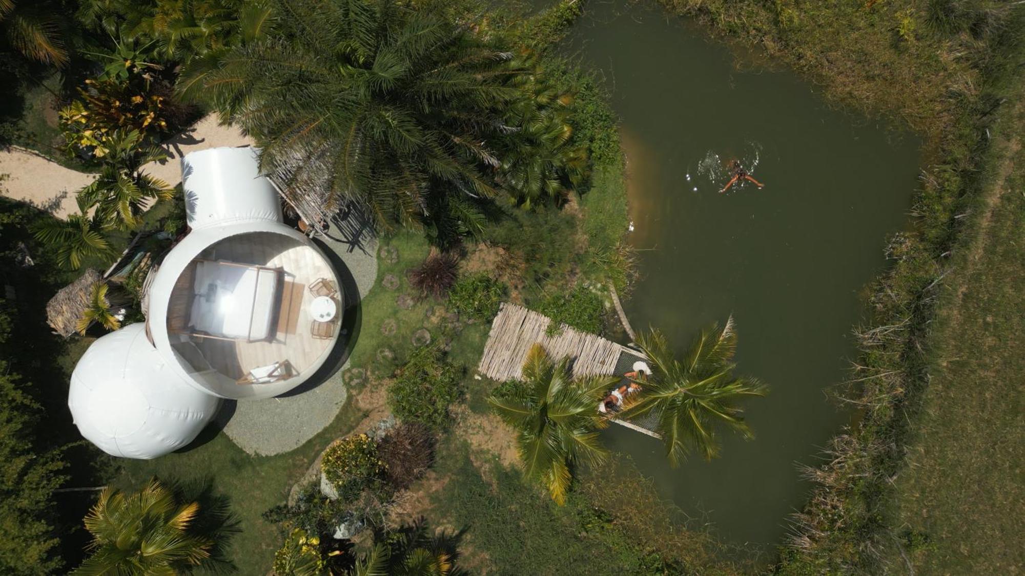 Green Land Bubble Glamping By Mint Cabarete Room photo