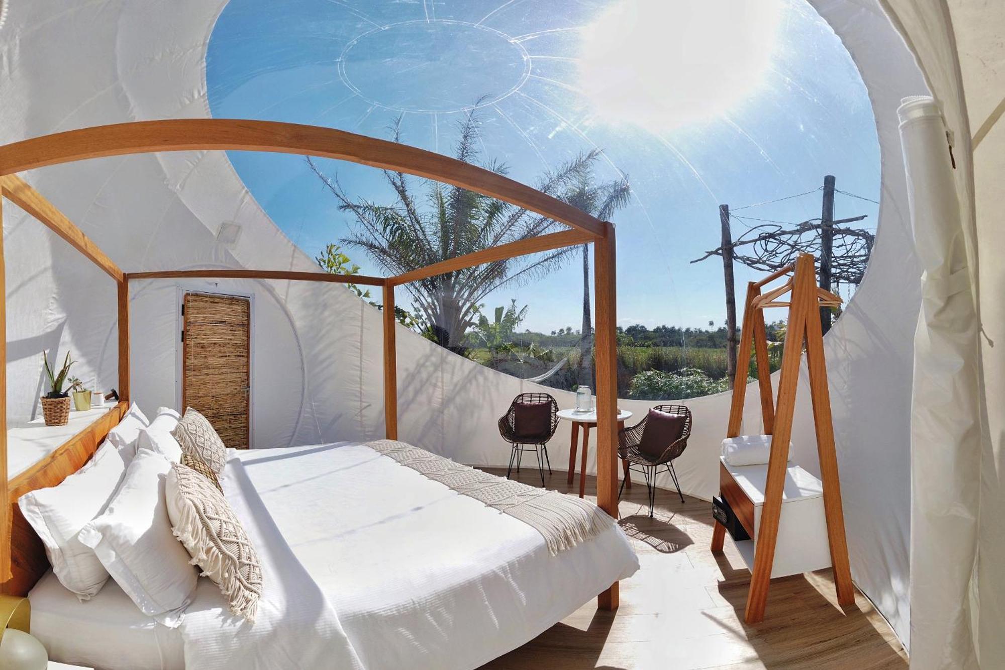 Green Land Bubble Glamping By Mint Cabarete Room photo