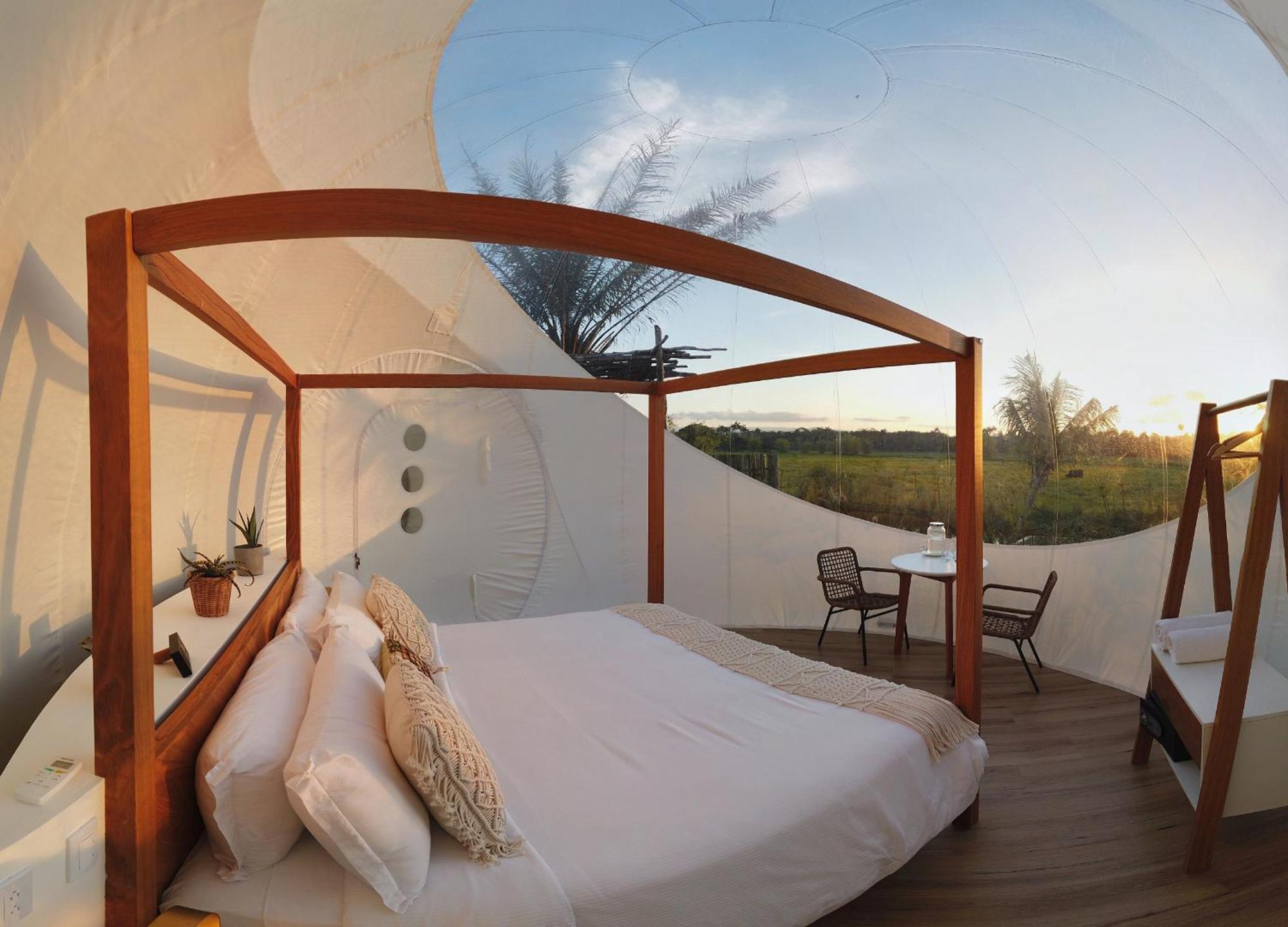 Green Land Bubble Glamping By Mint Cabarete Room photo