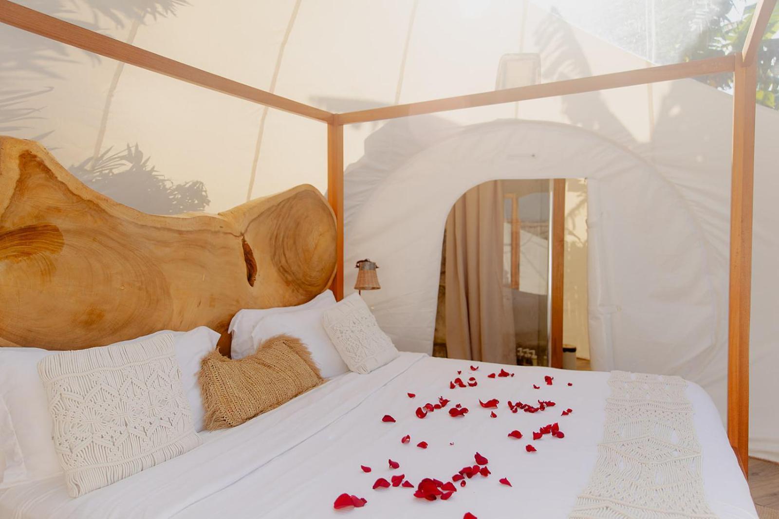 Green Land Bubble Glamping By Mint Cabarete Exterior photo
