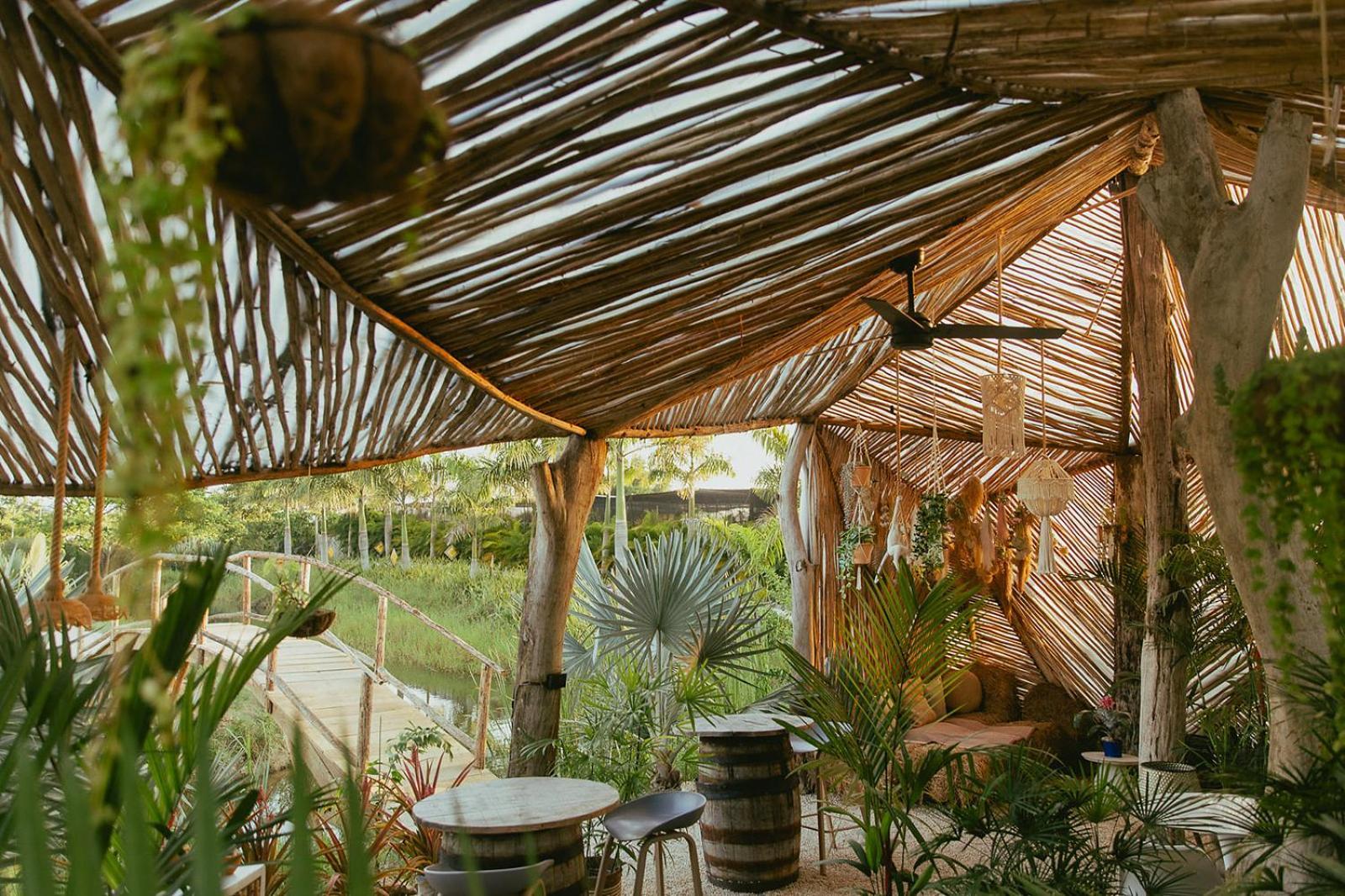 Green Land Bubble Glamping By Mint Cabarete Exterior photo