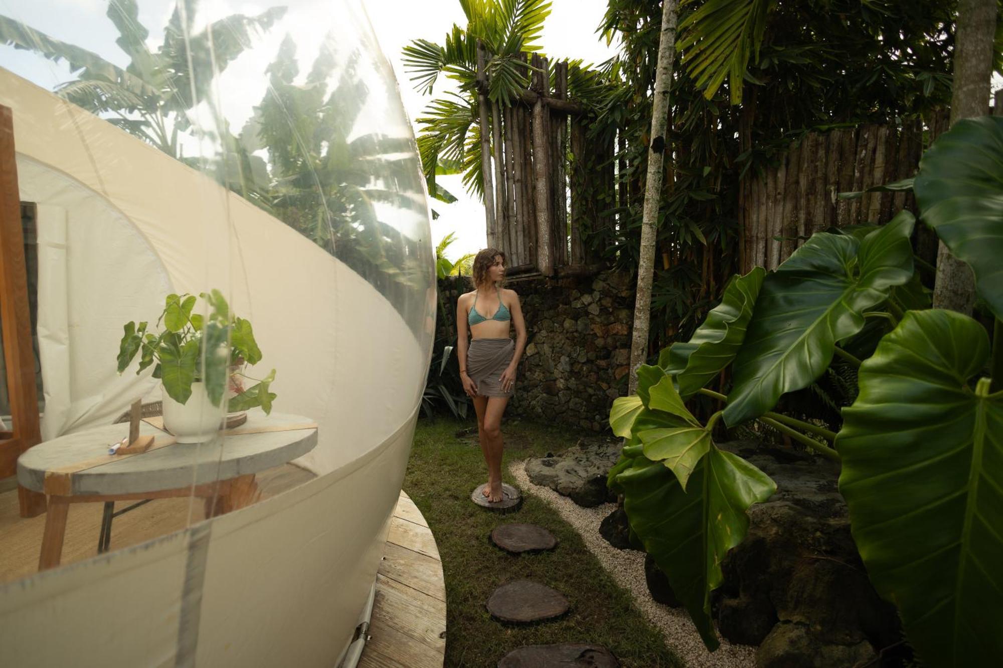Green Land Bubble Glamping By Mint Cabarete Exterior photo