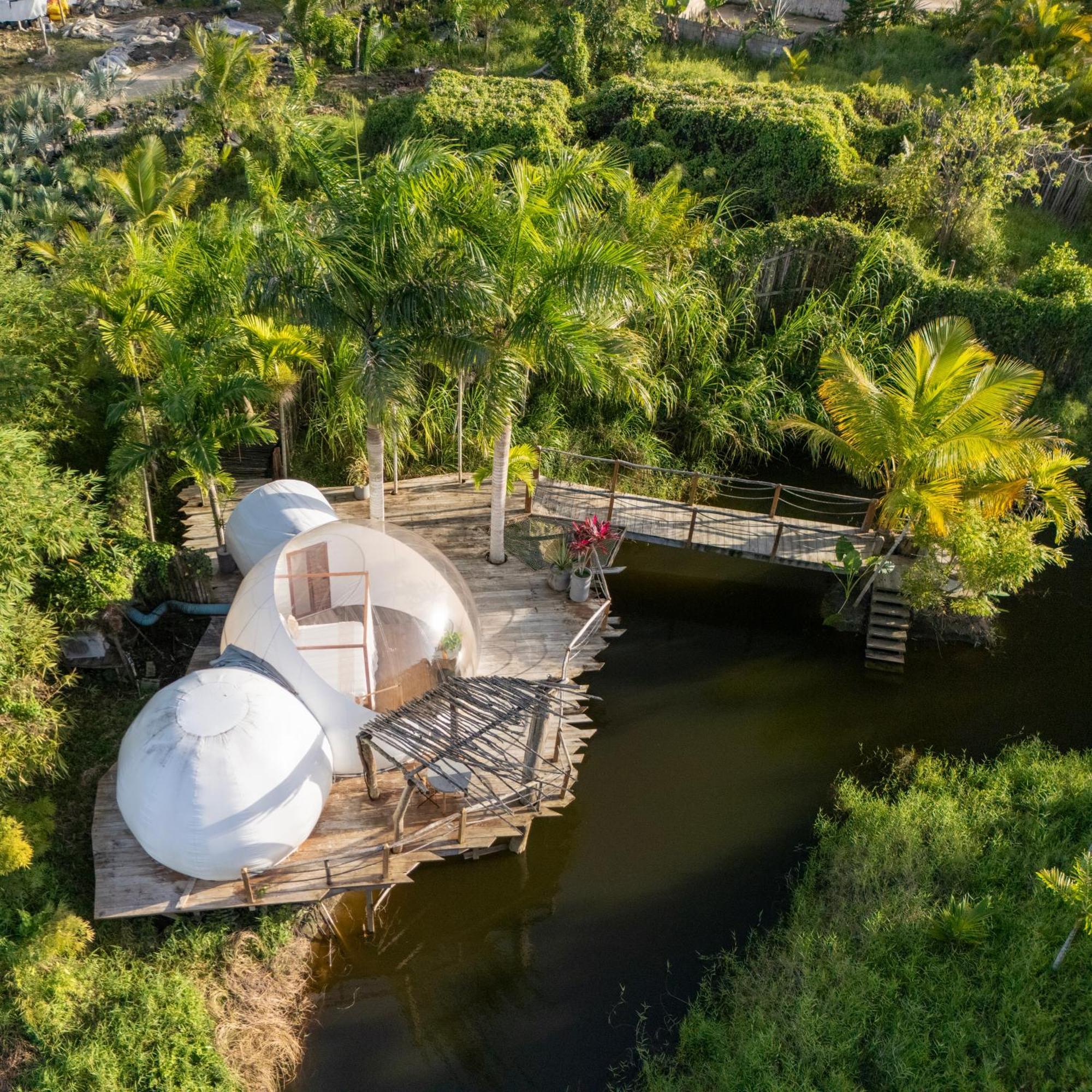 Green Land Bubble Glamping By Mint Cabarete Exterior photo