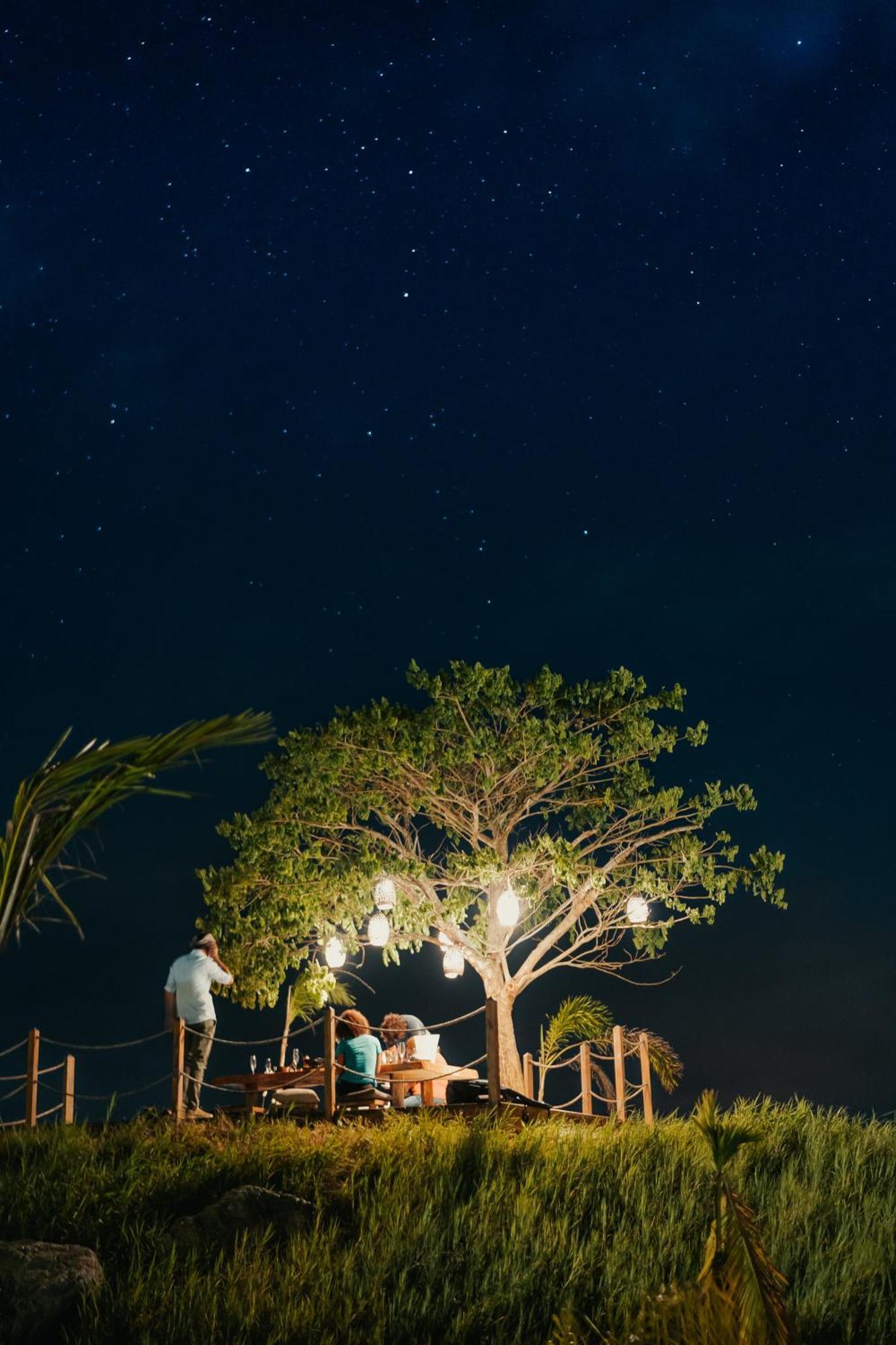 Green Land Bubble Glamping By Mint Cabarete Exterior photo